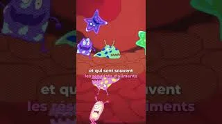 Miniature : Intestin encrassé : comment nettoyer en profondeur son corps