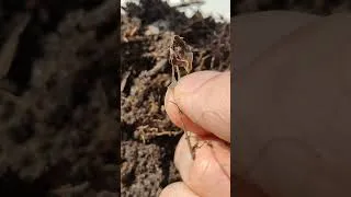 Miniature : test