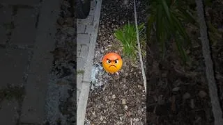Miniature : J'ai explosé ma vitre au PARPAING en pleine nuit ! 😱💥