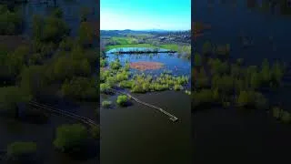 Miniature : L'etang de la Capelle sous le soleil  #drone