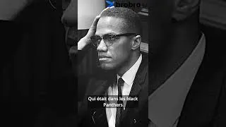 Miniature : Malcolm X censuré en #Algérie et la raison est insolite