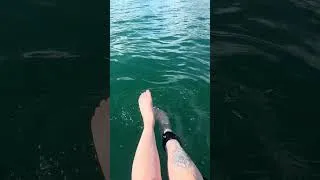 Miniature : Kalamalka Lake en paddleboard🤩💦 #travel #canada #naturelovers #paddleboard #okanagan #fyp