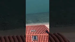 Miniature : Requin à Menton pendant le confinement COVID-19