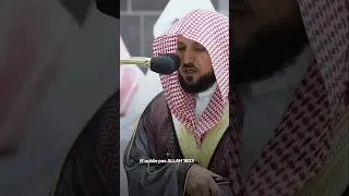 Miniature : Sourate Al-Bayyinah verset 186 🎙️ Maher Al-Mouaqly 🎧 #coran #quran #القرآن #ماهر_المعيقلي