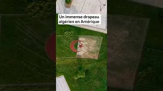 Miniature : Un immense drapeau algérien en Amérique