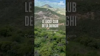 Miniature : 🐎 Le Lucky Club de la Ouenghi à Boulouparis : ambiance locale et détente garantie ! #CoupdBrousse