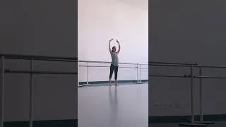 Miniature : CROSSBALLET