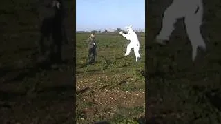 Miniature : #rabbit #hunting #remigaillard 🐰