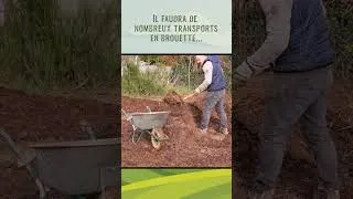 Miniature : Transformer une Friche en Jardin Productif - Travaux d'Hiver