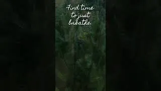 Miniature : Find time to just breathe.