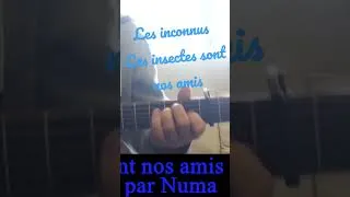 Miniature : Les inconnus Les insectes sont nos amis Humour cover guitare