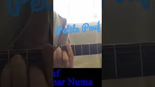 Miniature : Petite Pouf ( Monsieur Roux ) Humour cover guitare