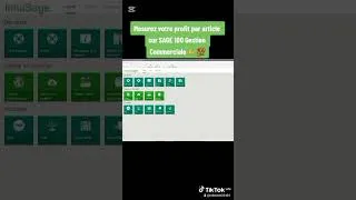 Miniature : Mesurez la rentabilité de vos article sur SAGE 100 GESTION COMMERCIALE