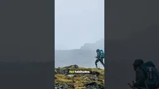 Miniature : La compétence que personne ne t'a jamais apprise