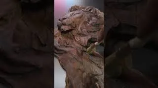 Miniature : Incroyable sculpture de buste de Lion en noyer, ouvrage cnc !