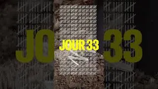 Miniature : 37 jours de misère #ross308 #viandesuisse #antispecisme