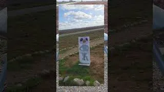 Miniature : Valensole, ufo-tourisme ?