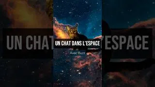 Miniature : Guest star : Buzz le chat ! 🐱 #science #space