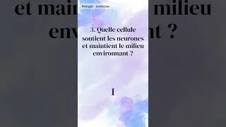 Miniature : Le miracle d’une minute pour réveiller les neurones - Quiz de Culture Générale en 1 Minute (993)