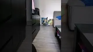 Miniature : carry baby