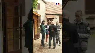 Miniature : Relâcher d'une jeune lynx (bande-annonce)