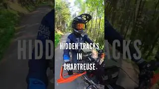 Miniature : CELEBRATING SUMMER FROM THE HIDDEN ROADS OF CHARTREUSE on KTM390adv #offrartv #ktm390adventurer
