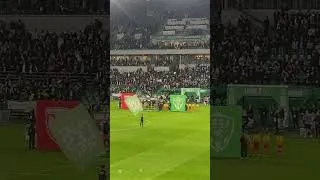 Miniature : AS Saint-Etienne-RC Lens Geoffroy Guichard Match Immersion(ASSE) #shorts #football #stadium  #ligue1