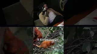 Miniature : Quand je dois choisir entre deux viewers…