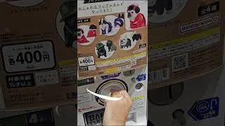 Miniature : Un Bouledogue Geisha ! #gachapon #japon #wtfjapan