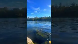 Miniature : Plongeon lac de Bischheim #olamistmande  #olamifrance #outdoortrips #ortorahjeunesse #itshakparsy