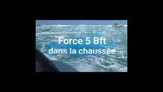 Miniature : Force 5 Bft OLM Perfectionnement Mer Formée 2026