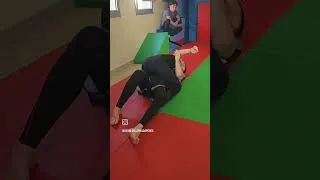 Miniature : L'Alliance du Tatami : Quand Oxigênio croise les Six Blades