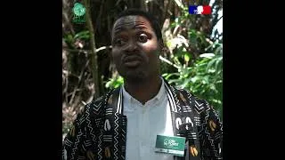 Miniature : 🌳🇬🇦 Elie NZIGOU, doctorant de l’initiative One Forest Vision - Gabon
