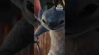 Miniature : Stitch se prend pour un cowboy 🤠💙
