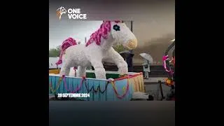 Miniature : 12 mois de lutte acharnée, rétrospective en images