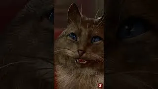 Miniature : Queen of cats ! #Baldursgate3