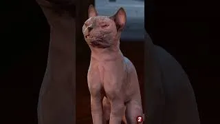 Miniature : King of cats ! #Baldursgate3