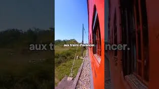 Miniature : Vous êtes comme ce train #Shorts