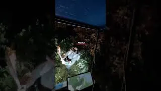 Miniature : Tokyo Drift dans la forêt ! | #ophiuchus_e sur #Twitch