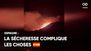 Miniature : Un incendie de forêt a brûlé plus de 400 hectares en Catalogne