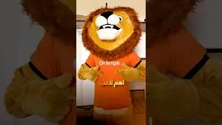 Miniature : Orange Maroc : WAFCON 2026