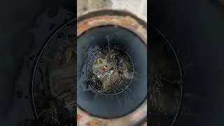 Miniature : Mais où va votre eau une fois utilisée ? On vous explique tout !