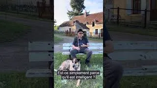Miniature : Is fear of AI rational (fr subs)
