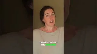 Miniature : DIY Copper Ceiling Disaster - We Tried to Fix It!