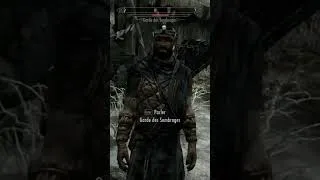 Miniature : Ce Que Vous Avez Toujours Rêvé De Répondre A Un Garde Dans Skyrim ! (version Short)