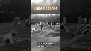 Miniature : Versailles a t-il sauvé la France de la famine pendant a Première Guerre Mondiale ?