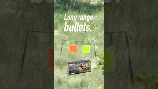 Miniature : ⚡ Tir de précision : cette munition fait la différence !