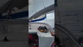 Miniature : navigation à la voile dans le golf du Lion