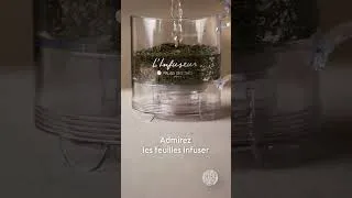 Miniature : L'Infuseur à thé