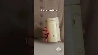 Miniature : Infusions du Louvre